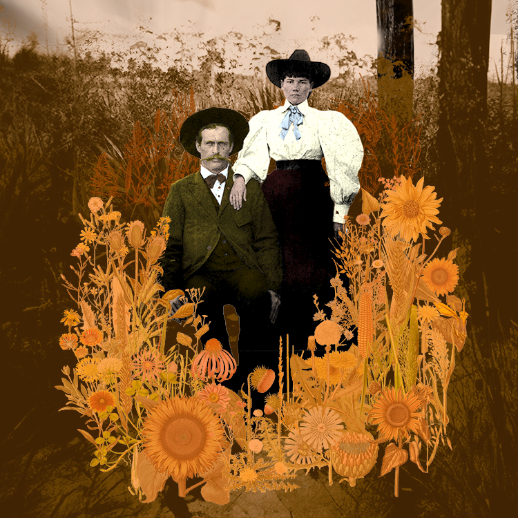 Laura & Almanzo en Floride (1891-1892)